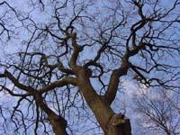 wandel vasten in Friesland