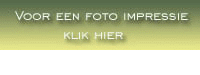 foto impressie