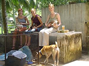 Kerala - Dierenpraktijk Kolibrie  vasten wandelen